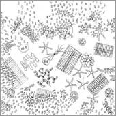 Rotatoria IV- der mikrobielle Umweg (02)