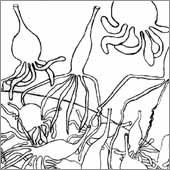 Regeneration I