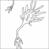 Flugversuch I