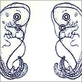 Vom Wurm zum Engel (01)