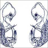Vom Wurm zum Engel (03)